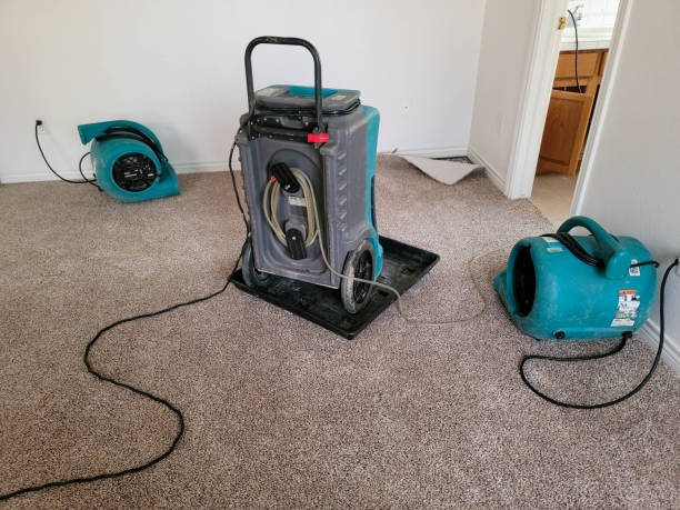 Best Ceiling water damage repair  in North Haledon, NJ
