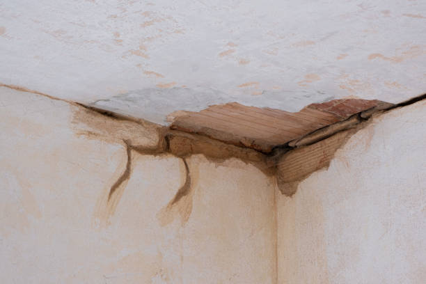 Reliable NJ Water damage restoration Solutions