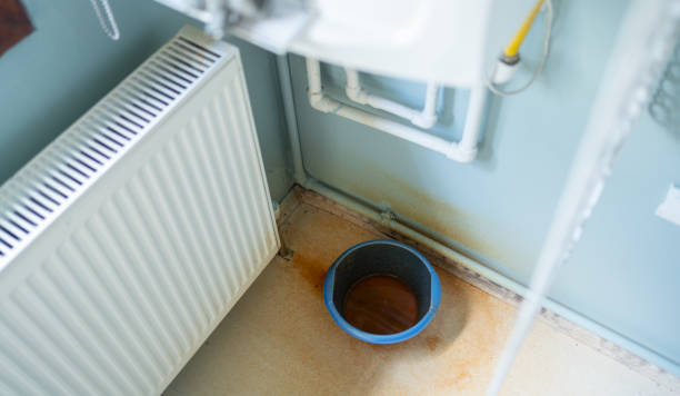 Best Water damage cleanup near me  in North Haledon, NJ
