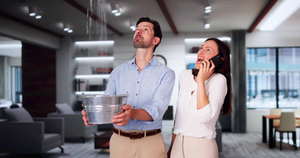 Best Mold removal after water damage  in North Haledon, NJ