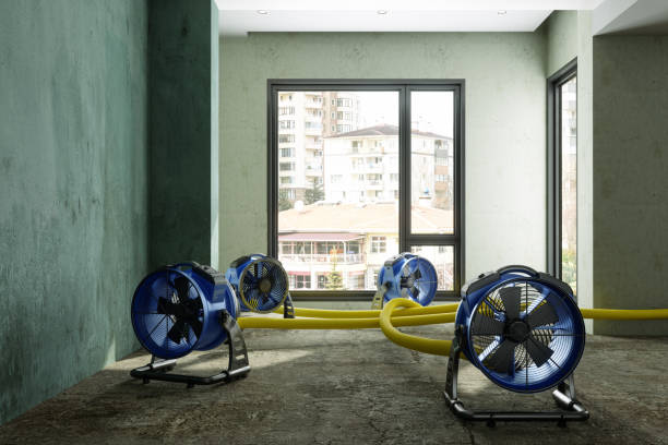 Best Water damage contractors near me  in North Haledon, NJ
