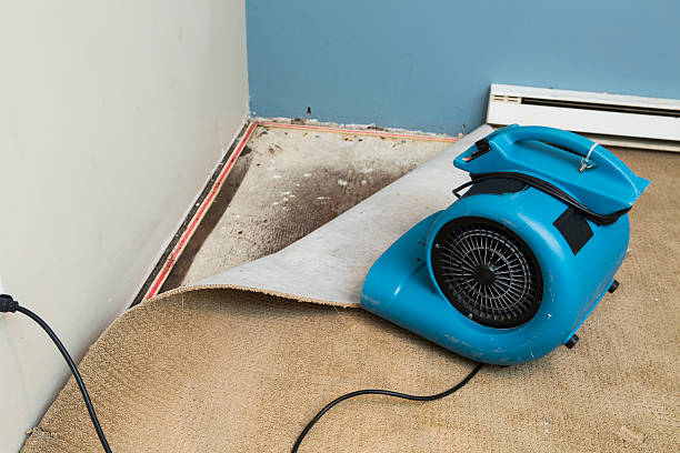 Best 24/7 water damage repair  in North Haledon, NJ