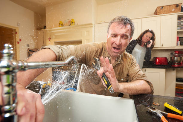 Best Carpet water damage restoration  in North Haledon, NJ